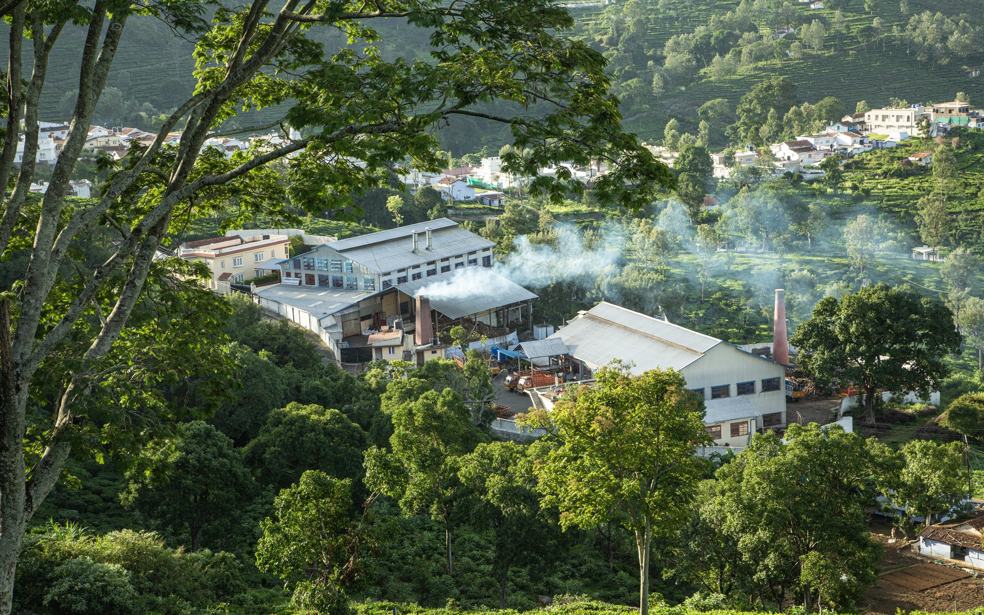 Kannavarai Tea factory surrounded with a greeny forest of kotagiri Hills